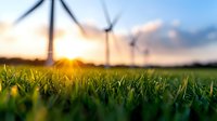 Wind turbines on green field at sunset with sun rays shining through blades, low angle view from grass level showing sustainable energy generation and environmental care.
