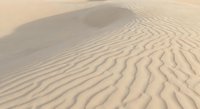 Golden sand dunes with natural wind-carved ripple patterns creating textured desert landscape for travel and nature backgrounds.