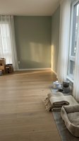 Minimalist bedroom interior with sage green accent wall, natural light from large windows with sheer curtains, light wood flooring, and neutral furnishings for home design inspiration.