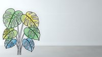 Colorful tropical monstera plant line art wall decal on white interior wall with wooden floor for modern home decoration and botanical design projects.