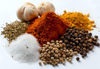 Aromatic spices and seasonings collection with garlic, paprika, turmeric, salt, dried herbs, and peppercorns on white background for cooking and culinary use.