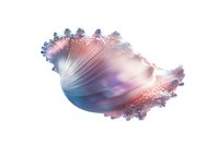 Ethereal abstract shell-like form in coral pink and blue tones with delicate fractal edges, isolated on white background for creative design projects.