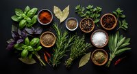 Fresh herbs and spices collection with basil, rosemary, thyme arranged on dark background. Culinary ingredients for cooking and seasoning food preparation.
