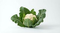 Fresh raw cauliflower head with green leaves isolated on white background, suitable for healthy eating, nutrition, cooking, and food photography projects.