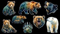Grizzly bear cub, brown bear, and polar bear illustrations isolated on transparent background. Ready for t-shirt design, clipart, stickers, sublimation, and print-on-demand products.