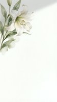 Watercolor white lily flowers with green stems and buds isolated on white background, ready for greeting cards, wedding invitations, and botanical design projects.