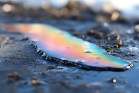 Rainbow-colored oil slick on wet asphalt creates iridescent pattern with vibrant spectrum of colors against dark surface, showing environmental pollution effects.