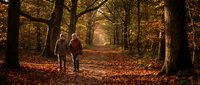Senior couple walking hand in hand through golden autumn forest path with fallen leaves and warm sunlight filtering through trees creating peaceful moment.