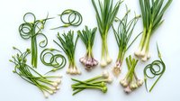 Fresh green onions and scallions arranged on white background, organic spring vegetables with roots and shoots for healthy cooking and culinary design.