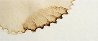 Burnt paper edge with jagged, charred borders on cream background, suitable for design overlays, textures, and creative projects.