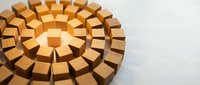 Wooden blocks arranged in concentric circles creating geometric pattern on white surface for teamwork and organization concepts.
