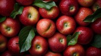 Fresh red apples with water drops and green leaves arranged in natural composition, close up view. Raw organic fruit background for healthy eating concept.