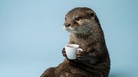 Otter holding white coffee cup against blue background, humorous animal character drinking beverage for creative design projects.