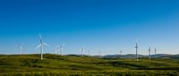 Wind turbines dotting rolling green hills under clear blue sky, representing renewable energy generation and sustainable power solutions for environmental conservation.