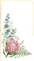 Watercolor botanical arrangement featuring pink protea flower with eucalyptus leaves, fern fronds, and dried seed pods on cream background. Isolated design element.