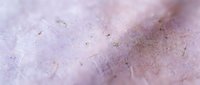 Macro close-up of textured surface with dust particles and subtle color variations in soft pink and purple tones, suitable for backgrounds and design projects.