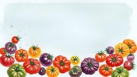Colorful heirloom tomatoes in various sizes and colors arranged as border on white background for culinary designs and healthy food concepts.