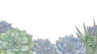 Watercolor succulent plants border frame with green and blue echeveria rosettes on white background for botanical design projects.
