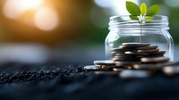 Young plant growing from coins in glass jar, symbolizing financial growth, investment returns, and sustainable wealth building at sunset.