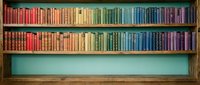 Wooden bookshelf filled with colorful books arranged in a vibrant rainbow gradient, creating an organized and decorative library display.