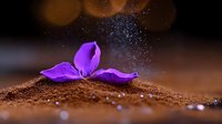 Purple flower petals resting on dark soil with water droplets and bokeh light effects in background creating dreamy atmospheric nature macro photography.