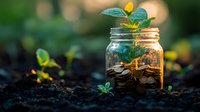 Growing plant sprouting from coins in glass jar on soil, glowing in golden sunset light, symbolizing financial growth, investment and wealth building.