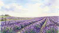 Expansive lavender field with purple blooms stretching toward horizon, rolling countryside landscape with farmhouse, ideal for travel, agriculture, and nature themes.