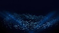 Large school of fish swimming in circular formation underwater creating mesmerizing spiral pattern in deep blue ocean waters for marine life concepts.