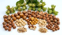 Fresh hazelnuts with green leaves and shells scattered on white background. Organic nuts collection for healthy eating and cooking ingredients.