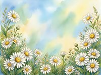 Watercolor chamomile field with white daisy flowers and green stems on soft blue and yellow background with copy space.