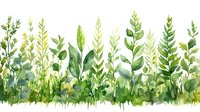 Watercolor botanical border with various green plants, herbs, and foliage creating a fresh garden-inspired design for nature-themed projects.