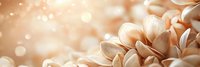 Delicate peach and cream colored flower petals in soft focus with dreamy bokeh lights creating romantic atmosphere for wedding and celebration backgrounds.