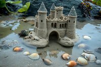 Detailed sandcastle with towers and arched entrance on beach surrounded by seashells and wet sand, natural coastal setting with rocks and foliage in background.