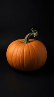 Fresh orange pumpkin with curved green stem isolated on dark background for autumn harvest, Halloween decoration and seasonal cooking projects.