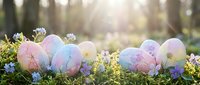 Pastel colored Easter eggs nestled in spring grass with small flowers and soft sunlight filtering through trees in background for holiday celebrations.
