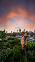 Construction worker in safety gear overlooking urban rooftop garden at sunset with city skyline and cranes in background. Suitable for construction, urban development, and sustainability projects.