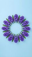 Purple hyacinth flowers arranged in circular wreath pattern on light blue background for spring decoration and floral design projects.