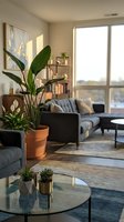 Modern living room interior with tropical houseplants, gray sofa, glass coffee table and natural sunlight creating cozy atmosphere for home decor inspiration.