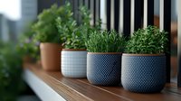 Fresh aromatic herbs growing in decorative ceramic pots on wooden windowsill, modern kitchen garden with rosemary and other green plants in blue containers.