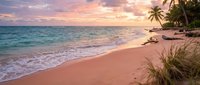 Serene tropical beach at sunset with soft pink sand, gentle waves, and palm trees creating a peaceful coastal paradise for travel and relaxation.