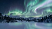 Spectacular aurora borealis dancing across starry night sky over snow-covered winter landscape with frozen lake and evergreen forest in arctic wilderness.