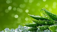 Fresh green leaves with morning dew drops against blurred natural bokeh background, macro nature photography showing crystal clear water droplets on foliage.