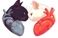 Artistic fusion of cat heads with anatomical hearts in black and red color scheme, creative veterinary or medical concept illustration on white background.
