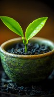 Young green plant seedling growing in rustic clay pot with rich dark soil, symbolizing new life, growth and environmental sustainability concepts.
