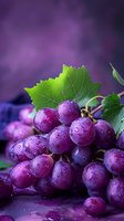 Fresh purple grapes with water drops and green leaves on dark background. Macro shot of ripe juicy fruit with natural morning dew, vibrant colors for food design.