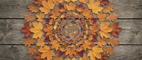 Autumn leaves arranged in spiral mandala pattern on rustic wooden background. Fall foliage design for seasonal decorations and nature-inspired projects.