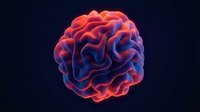 Glowing brain with orange and blue neon colors on dark background, isolated for medical, neuroscience, technology, and educational design projects.