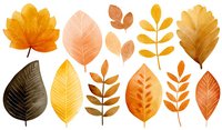Watercolor autumn leaves collection in warm orange and yellow tones on white background, isolated botanical elements for seasonal designs.