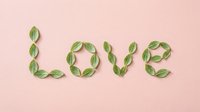 Word Love spelled with green leaves on soft pink background for romantic Valentine's Day greeting cards and wedding invitations.