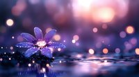 Purple flower with water drops reflecting in calm water surface against blurred bokeh background in mystical twilight atmosphere.